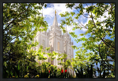 Salt Lake Glimpse of Eternity Gallery Wrap