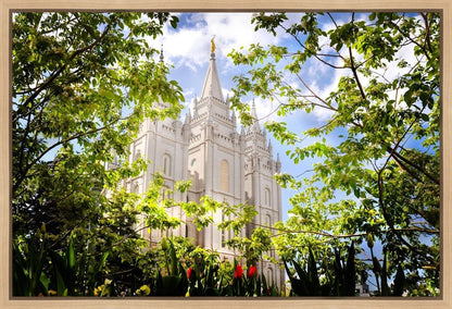 Salt Lake Glimpse of Eternity Gallery Wrap