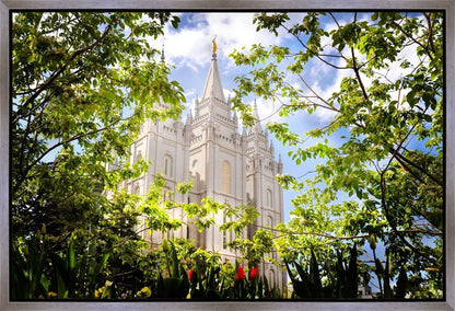Salt Lake Glimpse of Eternity Gallery Wrap