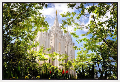 Salt Lake Glimpse of Eternity Gallery Wrap