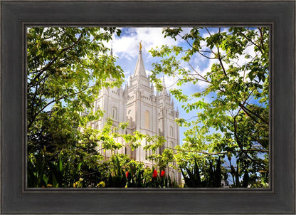 Salt Lake Glimpse of Eternity