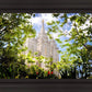 Salt Lake Glimpse of Eternity