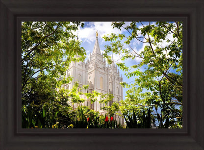 Salt Lake Glimpse of Eternity