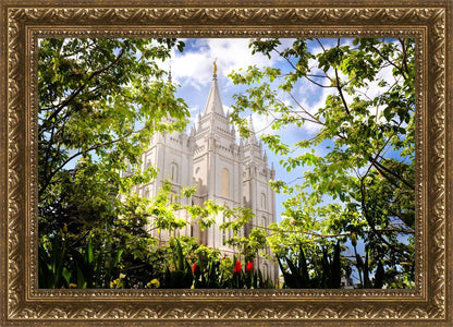 Salt Lake Glimpse of Eternity