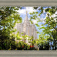 Salt Lake Glimpse of Eternity