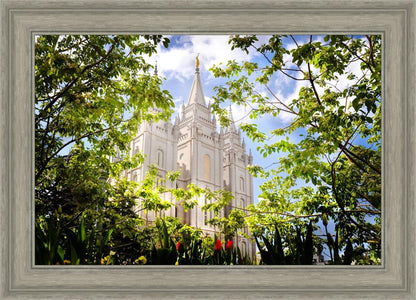 Salt Lake Glimpse of Eternity