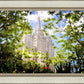 Salt Lake Glimpse of Eternity