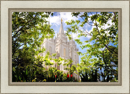 Salt Lake Glimpse of Eternity