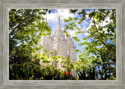 Salt Lake Glimpse of Eternity