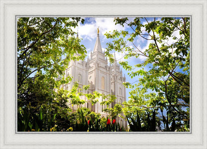 Salt Lake Glimpse of Eternity