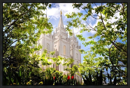 Salt Lake Glimpse of Eternity Gallery Wrap