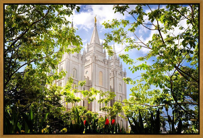 Salt Lake Glimpse of Eternity Gallery Wrap