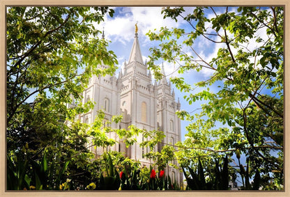 Salt Lake Glimpse of Eternity Gallery Wrap