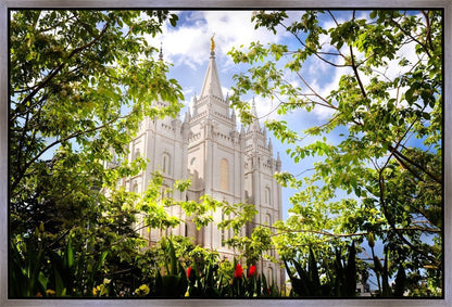 Salt Lake Glimpse of Eternity Gallery Wrap