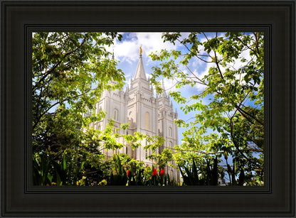 Salt Lake Glimpse of Eternity