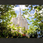 Salt Lake Glimpse of Eternity