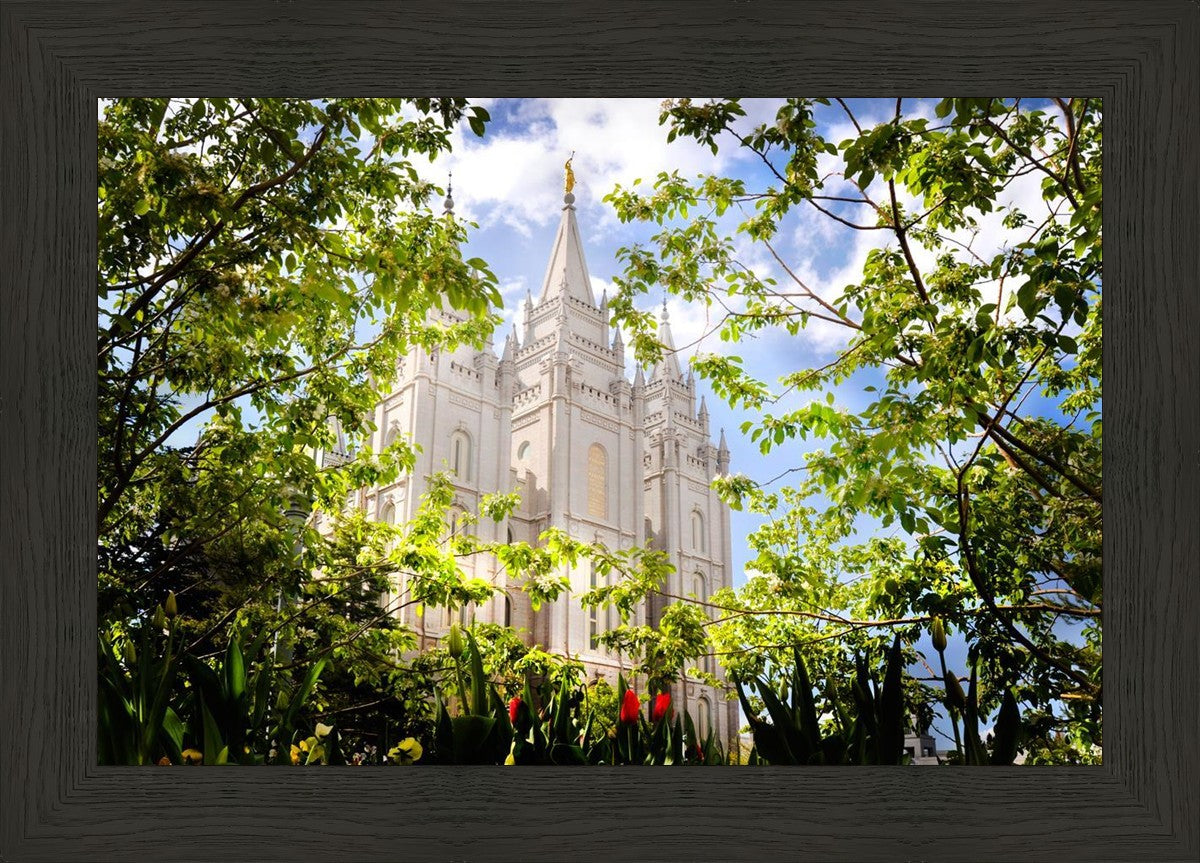 Salt Lake Glimpse of Eternity