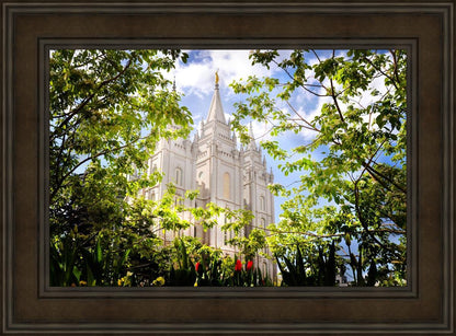 Salt Lake Glimpse of Eternity