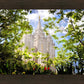 Salt Lake Glimpse of Eternity