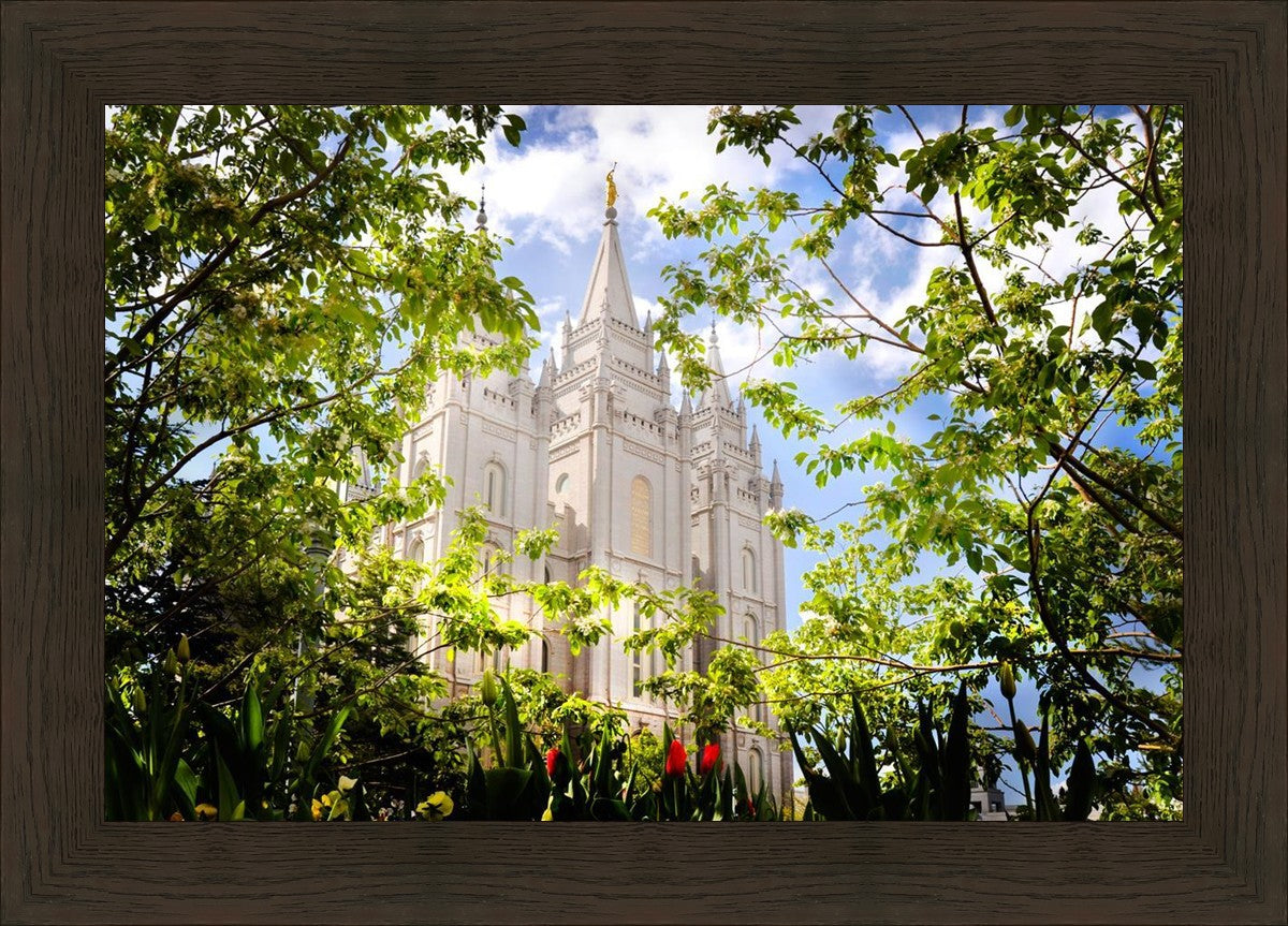 Salt Lake Glimpse of Eternity