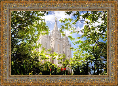 Salt Lake Glimpse of Eternity