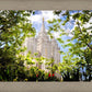 Salt Lake Glimpse of Eternity