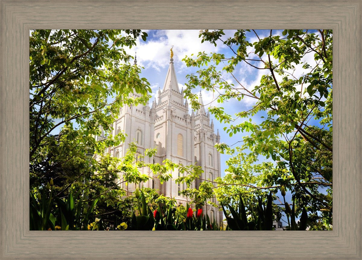 Salt Lake Glimpse of Eternity