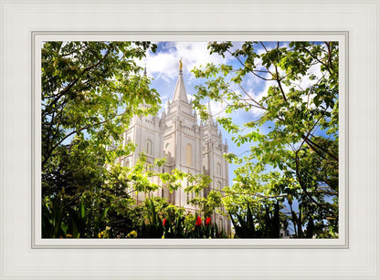 Salt Lake Glimpse of Eternity