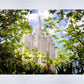 Salt Lake Glimpse of Eternity