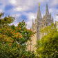 Salt Lake City Temple Autumn Leaves