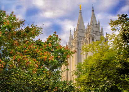 Salt Lake City Temple Autumn Leaves