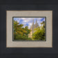Salt Lake City Temple Autumn Leaves