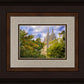 Salt Lake City Temple Autumn Leaves