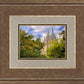 Salt Lake City Temple Autumn Leaves