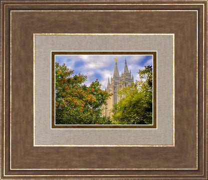 Salt Lake City Temple Autumn Leaves