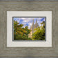 Salt Lake City Temple Autumn Leaves