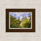 Salt Lake City Temple Autumn Leaves