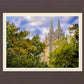 Salt Lake City Temple Autumn Leaves
