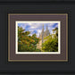 Salt Lake City Temple Autumn Leaves