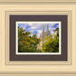 Salt Lake City Temple Autumn Leaves