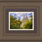 Salt Lake City Temple Autumn Leaves
