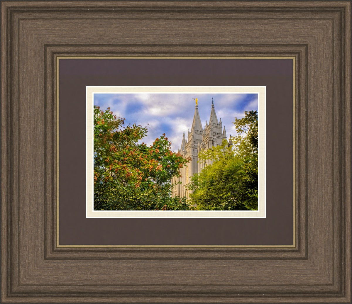 Salt Lake City Temple Autumn Leaves