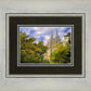 Salt Lake City Temple Autumn Leaves