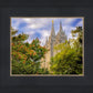 Salt Lake City Temple Autumn Leaves