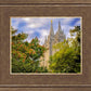 Salt Lake City Temple Autumn Leaves