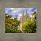 Salt Lake City Temple Autumn Leaves