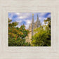 Salt Lake City Temple Autumn Leaves