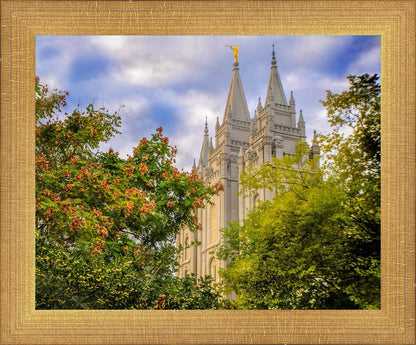 Salt Lake City Temple Autumn Leaves