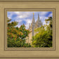 Salt Lake City Temple Autumn Leaves