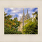 Salt Lake City Temple Autumn Leaves